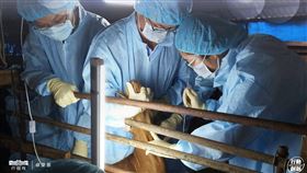 翻攝卓榮泰臉書