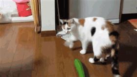 ▲（圖／翻攝自微博）