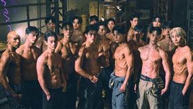 《WILD WILD》。（圖／寬宏藝術提供）