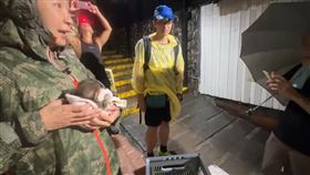 獼猴,柴山,受困