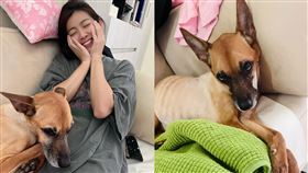 米可白的愛犬罹癌。（圖／翻攝自米可白臉書）