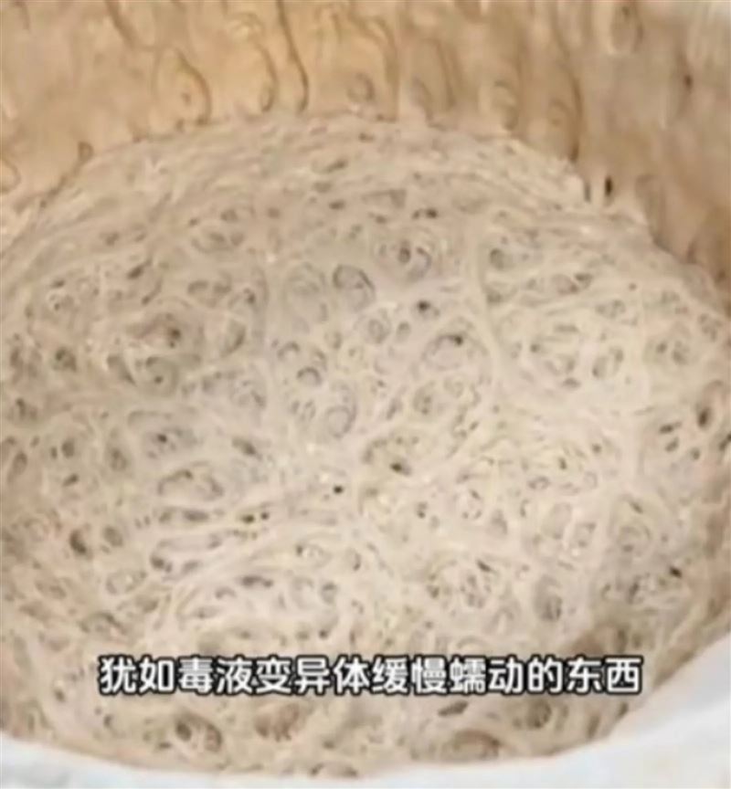 看著天然酵母發酵過程中的起泡、膨脹到變色,像是在看自己養的寵物成長。(翻攝自tiktok)