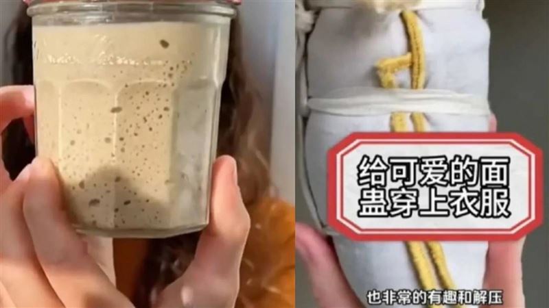 寵物酵母爆紅　陸年輕人新潮飼養：無壓力