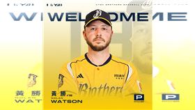 ▲中信兄弟簽下新洋投黃勝（Nolan Watson）。（圖／中信兄弟球團提供） 