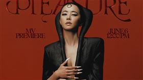 蔡依林曬出最新宣傳照，化身最辣牛魔王。（圖／翻攝自蔡依林IG）