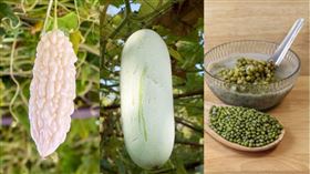 ▲芒種期間易燥熱上火，宜多吃退火食物。（圖／CANVA製作）