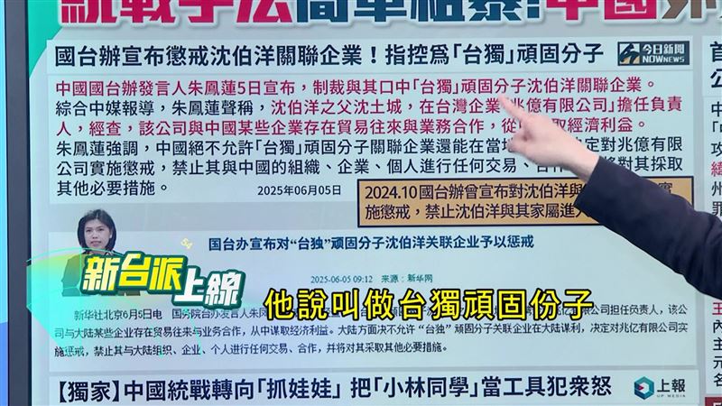 沈伯洋被中共稱為「台獨頑固份子」,嚴懲他家關聯企業。(圖/翻攝新台派上線)
