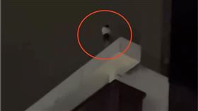 台中勤美驚見女子站頂樓！目擊民眾急報警