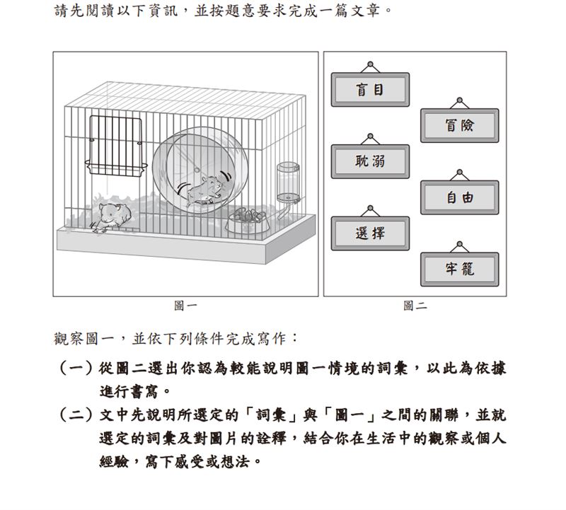 會考作文僅放上「兩隻倉鼠與六個詞彙」要考生自由發想。(圖/翻攝自會考網頁)