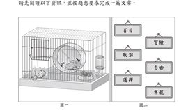 會考作文僅放上「兩隻倉鼠與六個詞彙」要考生自由發想。（圖／翻攝自會考網頁）