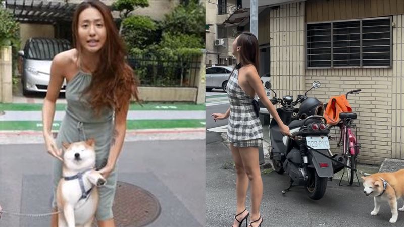 薔薔狗遭踹飆罵臭三八！6年後悲慘現況曝