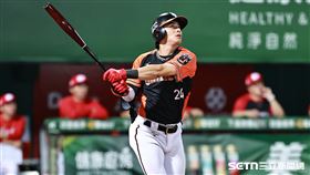▲中職36年，統一獅右外野手陳傑憲用「魚雷球棒」擊出全壘打。（圖／記者劉彥池攝影）