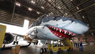 天降鯊魚！猛禽「空叼鯊魚」竟被烏鴉圍攻