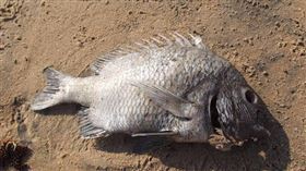 英國29歲媽媽罹患罕見魚臭症，無論如何清潔，身上仍散發腐魚臭味，嚴重影響生活與心理健康，甚至連親人葬禮也缺席。（示意圖／Pixabay）