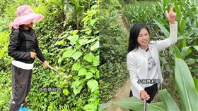 （圖／翻攝自小微抖音）