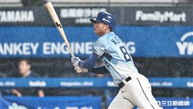 ▲中職36年例行賽，富邦悍將右外野手孔念恩敲出高飛犧牲打。（圖／記者劉彥池攝影）