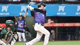 ▲樂天桃猿陳晨威連續30場安打，超越林益全成為聯盟第3多。（圖／樂天桃猿提供）