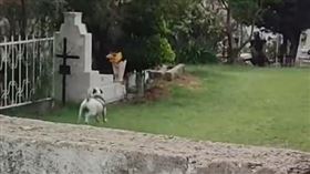 （圖／翻攝自微博）