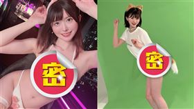 優音駒貓暫停拍片，竟是考上「亞洲第一私立學府」日本慶應義塾大學的經濟系。（圖／翻攝自X平台 @帳號nekoma_neko_）