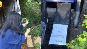 ▲動保人士林小姐指苗栗防疫所為抓捕2隻TNVR貓，放置了5個誘捕籠。（合成圖／CTWANT提供）

