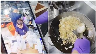 常客死心：蟑螂炒飯回鍋拌熱！名店回應了
