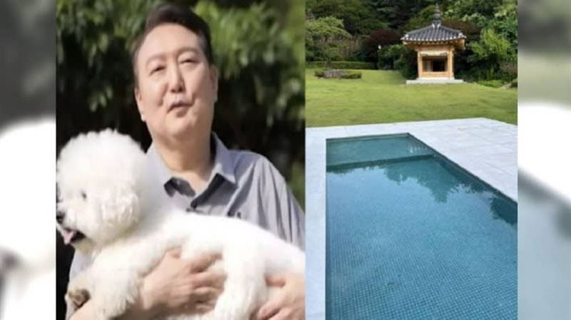 南韓前總統尹錫悅疑用公帑打造狗狗泳池