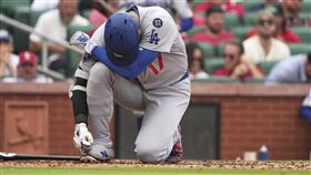 ▲大谷翔平首季首度遭觸身球擊中，痛到大叫，但他堅持繼續留在場上，跛腳走上一壘。（圖／美聯社／達志影像）