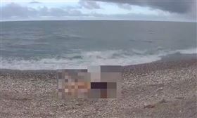 花蓮、海邊、浮屍、毆打、推下海、太平洋公園