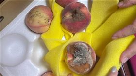 水蜜桃產季來臨，有網友昨天在網路社群控訴，家人到桃園拉拉山遊玩、買水蜜桃，原本想自己挑遭賣家拒絕，老闆娘還請家人晚點再過來拿，結果回家打開一看，有一顆接近腐敗，2盒1200元的水蜜桃只有一顆能吃，提醒大家去拉拉山買水果真的要小心。