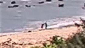 酒店妹,兇殺案,花蓮,凶殺,命案,水利署,監視器,直播（圖／翻攝畫面）