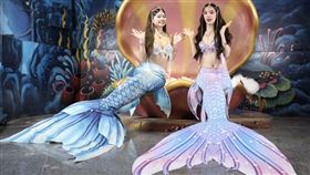 圖／遠雄海洋公園提供