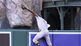 ▲運動家中外野手克拉克（Denzel Clarke）爬上全壘打牆沒收全壘打。（圖／美聯社／達志影像）