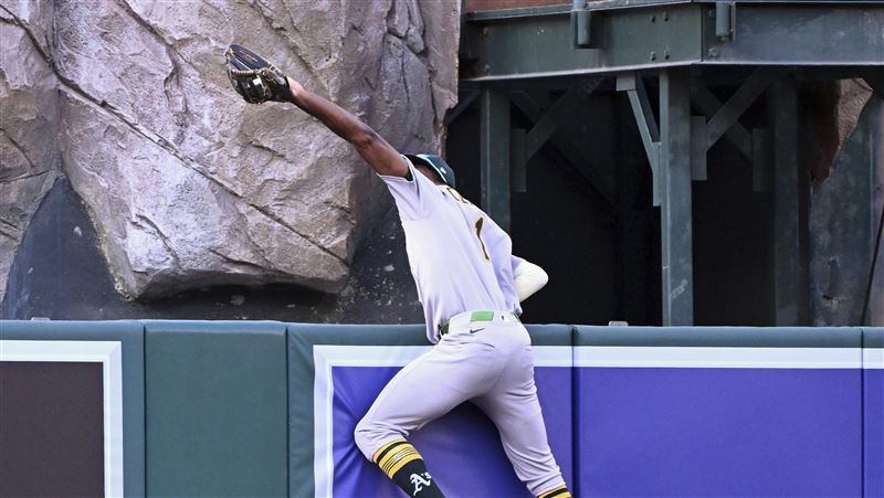 真「蜘蛛人」　他單月2次爬牆接回全壘打