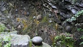 貴州山區有面石壁每隔30年會脫落圓形石蛋，令人嘖嘖稱奇。（翻攝YT頻道「鄉村阿泰」）