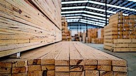 ▲ 美國科學家成功將鐵礦注入木材細胞，打造出兼具硬度與環保性的「強化木材」。這項技術有望在未來取代部分鋼筋與混凝土，成為建築減碳的潛力關鍵。（圖／永續新聞網官網） 