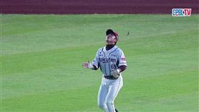 ▲樂天桃猿林政華受燈光影響吃球。（圖／翻攝自CPBLTV）