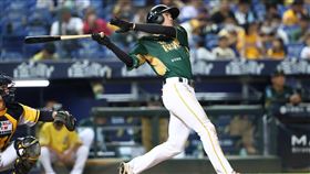 ▲台鋼雄鷹王博玄。（圖／台鋼雄鷹提供） 