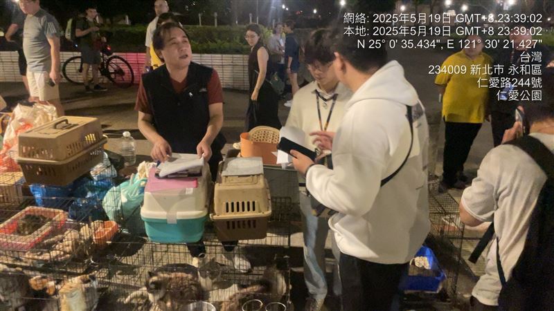 民眾領養貓狗的情形。(圖/動保處提供)