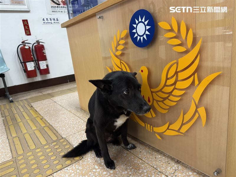台北市萬華分局西園所的所犬小黑。(圖/翻攝畫面)