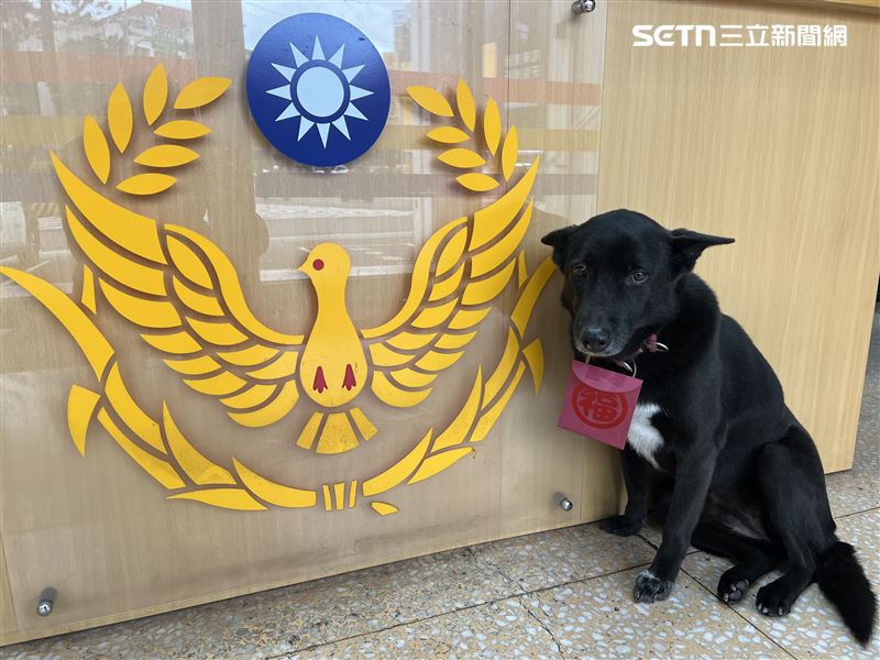 台北市萬華分局西園所的所犬小黑。(圖/翻攝畫面)