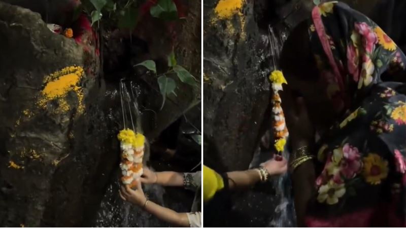 古樹湧聖水!眾人狂飲治病…水來自下水道