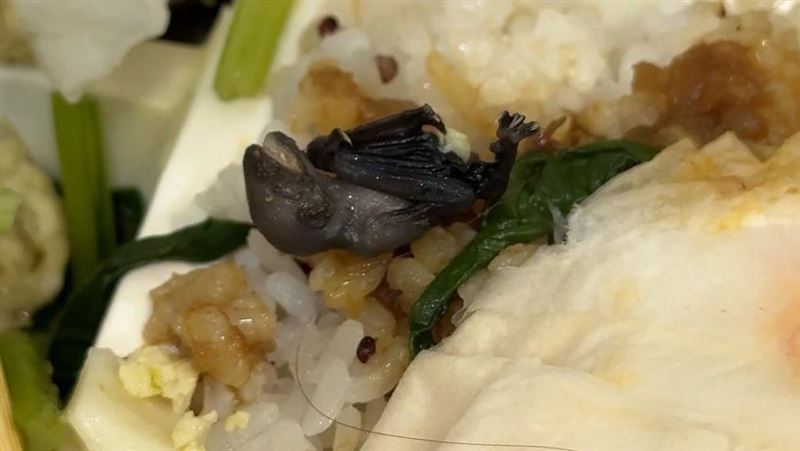 比蟑螂更扯!她吃便當驚見「蝙蝠」