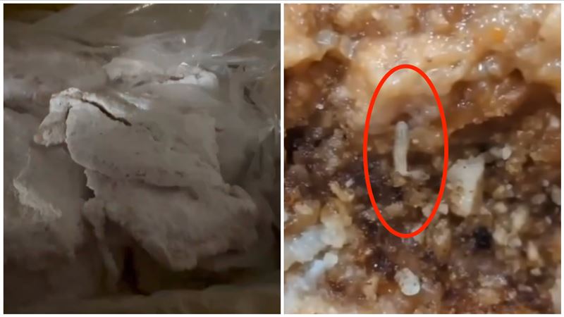 新/日月光中壢廠團膳「有蛆」衛生局出手