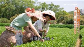 L(一家人)客家打油茶(短)