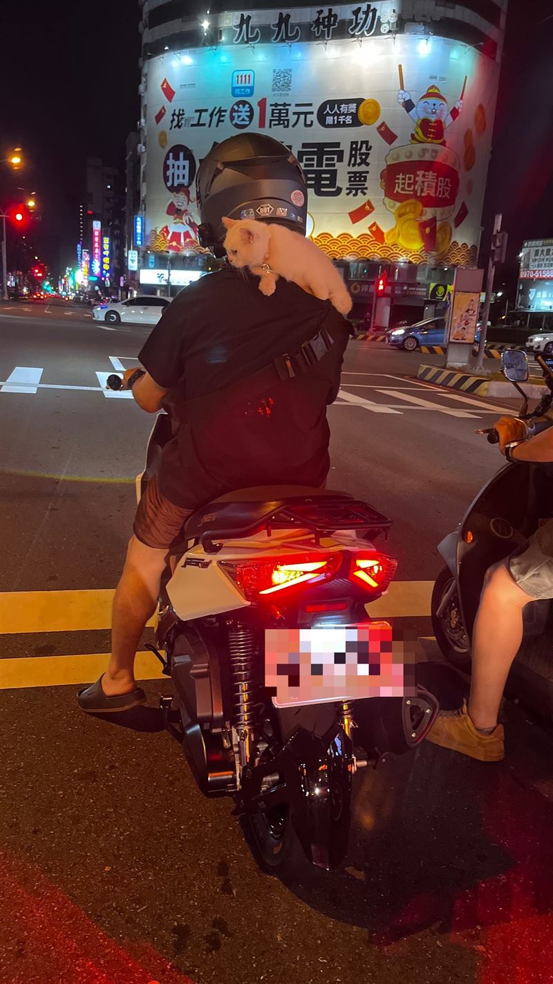 男子將貓咪扛在肩上騎車,網友拍下PO網後引發熱議。(圖/翻攝自Threads @l008.700)