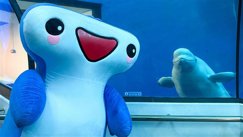 屏東海生館「夏日海洋季」暑期重磅登場！
