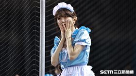 ▲中職36年例行賽，Fubon Angels韓籍成員李珠珢。（圖／記者劉彥池攝影）