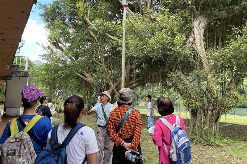 茶鄉一日走讀巡禮坪林生態茶園及水岸「白鷺鷥公寓」現場每梯次開放10人報名。(圖/新北農業局提供)