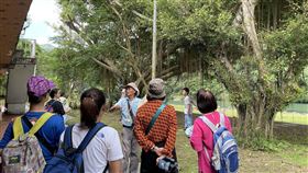 週末坪林喝春茶  免費好禮拿不完（業配勿用）