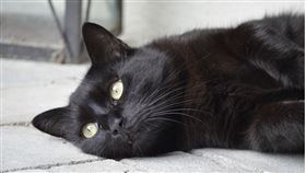 ▲西方認為13如同黑貓一樣寓意不吉利，但在中國黑貓象徵辟邪。（示意圖／Pixabay）